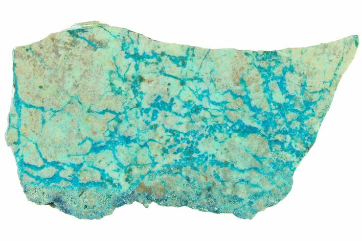 Polished Blue River Chrysocolla Slice - Arizona #337400